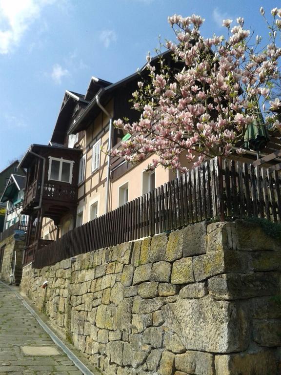 Wehlener Landhaus In Stadt Wehlen, Saechsische Schweiz Dış mekan fotoğraf